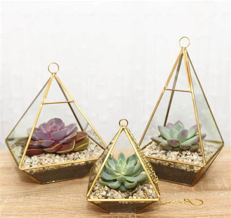 small geometric glass terrarium